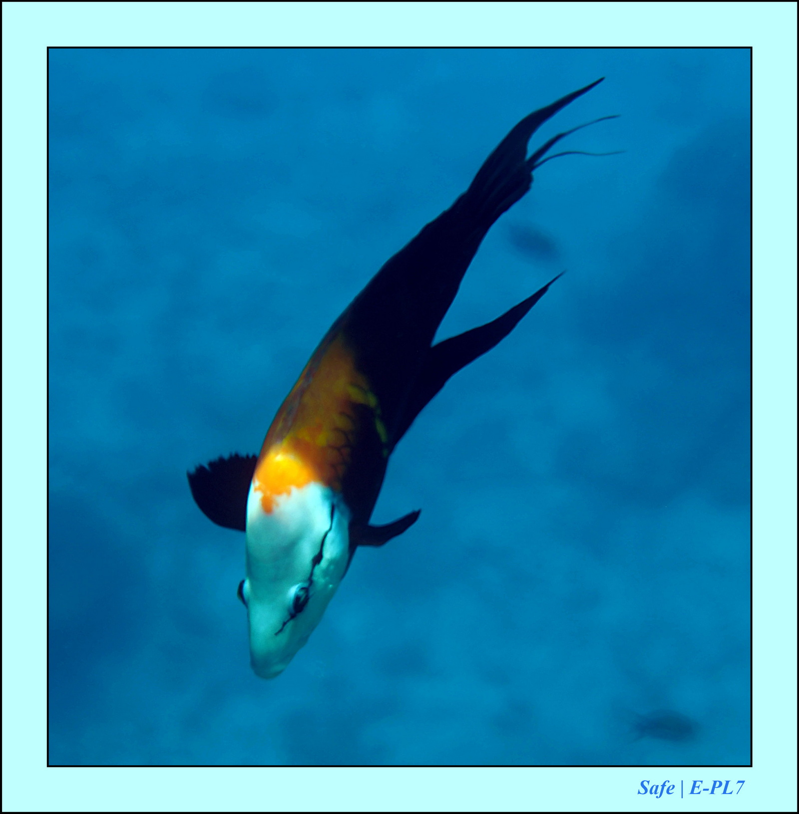 Hurghada - Aout 2021 - 030